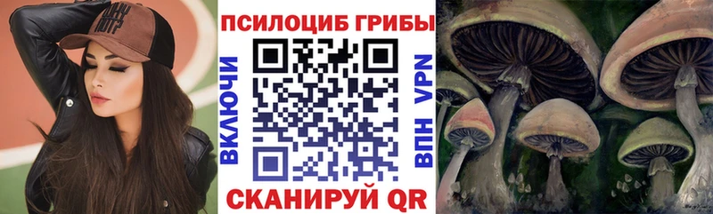 Псилоцибиновые грибы Magic Shrooms  Купить где  Игра